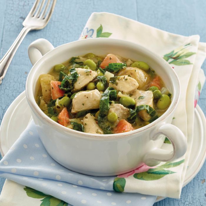 Chicken & Vegetable Stew