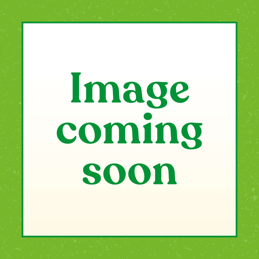 Fruity Mincemeat Crumble Tart (Pack of 2)